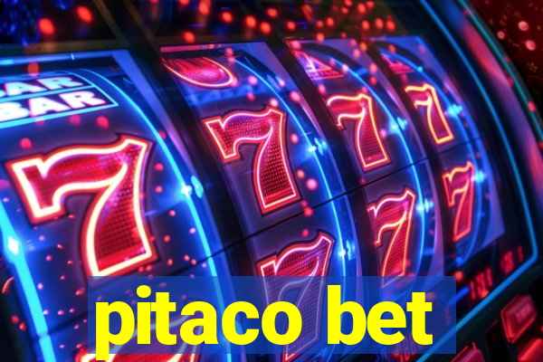 pitaco bet